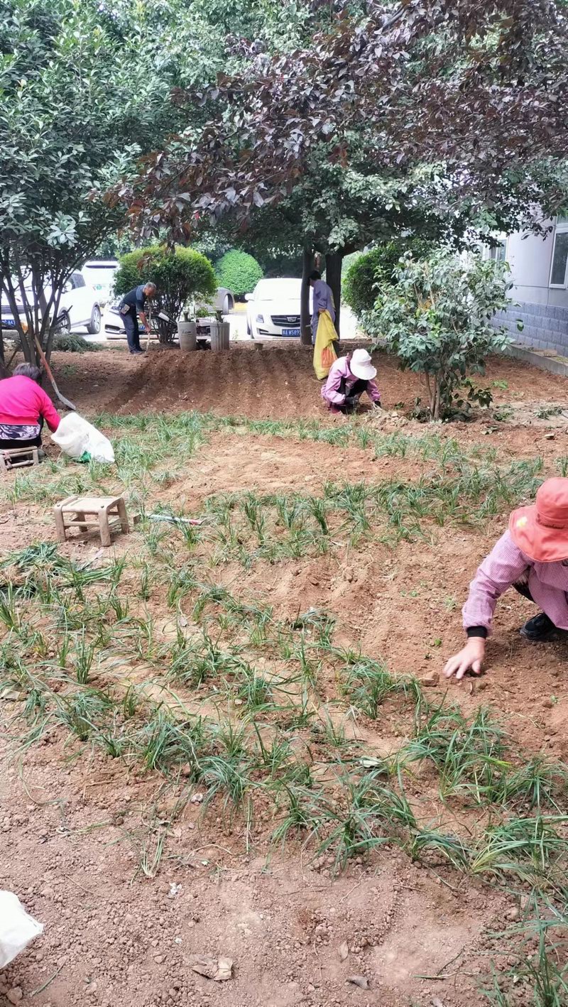 微信图片_20221115172926