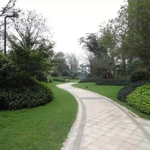 小区绿化施工设计及养护