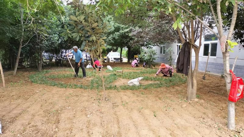 厂区草坪绿化展示